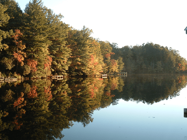 A body of water with trees in the background